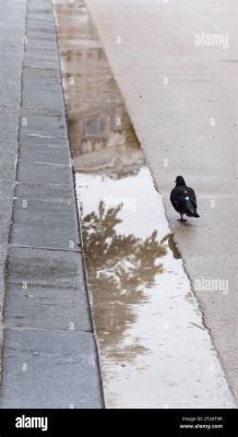  Yesterday's Dead: A Journey Through Parisian Melancholy - A Poetic Reflection on Loss and Rebirth